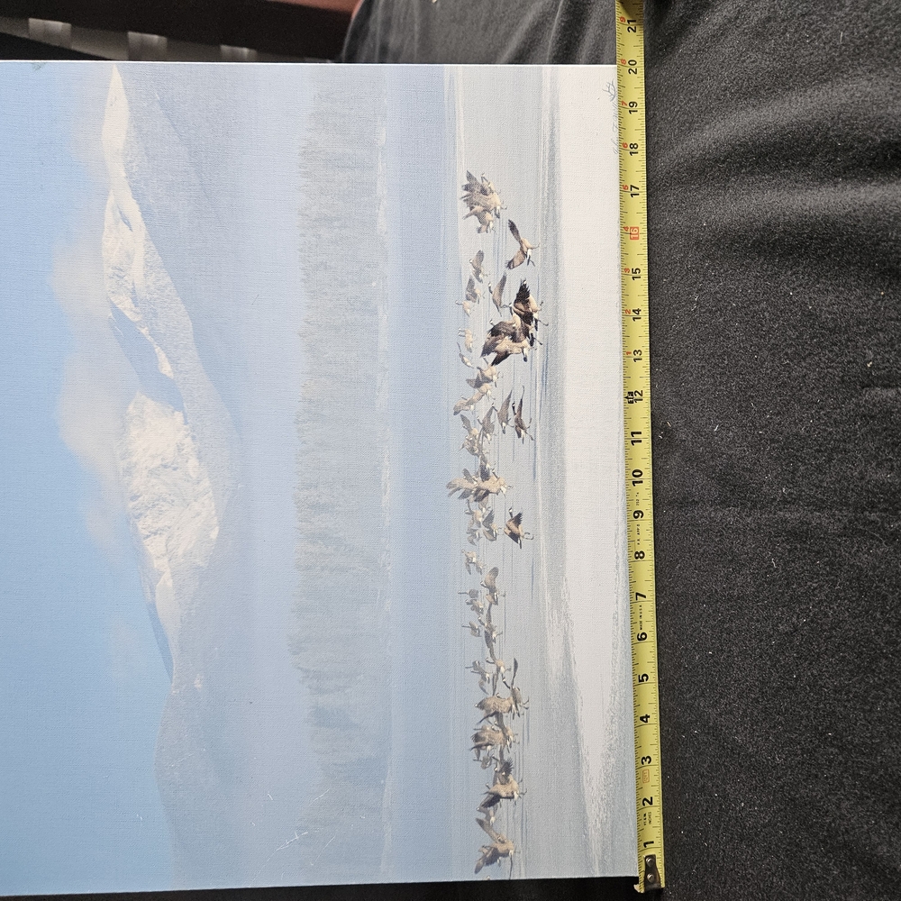 Mountain Landscape Canvas Art